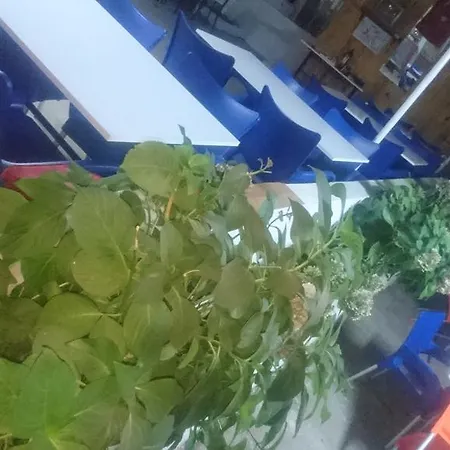 公寓式酒店 Erkin Apart Karsiyaka (Balikesir)